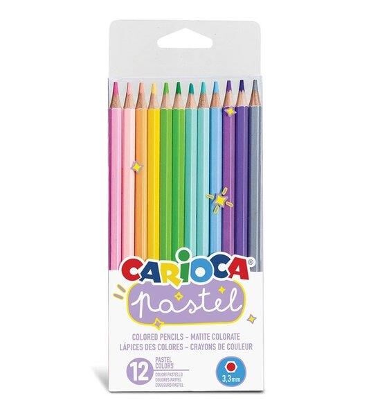 Carioca Pastel Renk Kuru Boya 12li