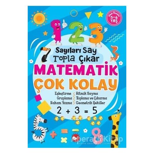 Sayıları Say Topla Çıkar Matematik Çok Kolay