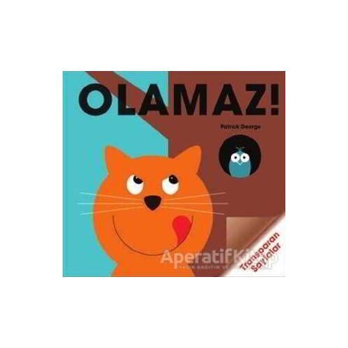 Olamaz