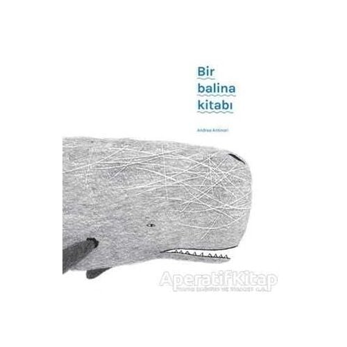 Bir Balina Kitabı