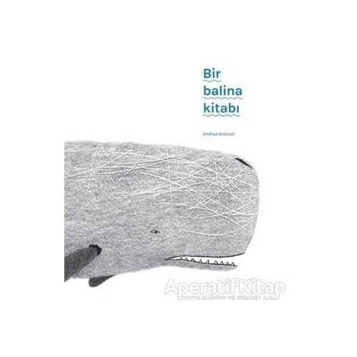 Bir Balina Kitabı