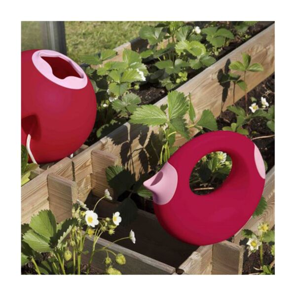Quut Cana Çift Taraflı Çocuk Sulama Kabı -L-Cherry