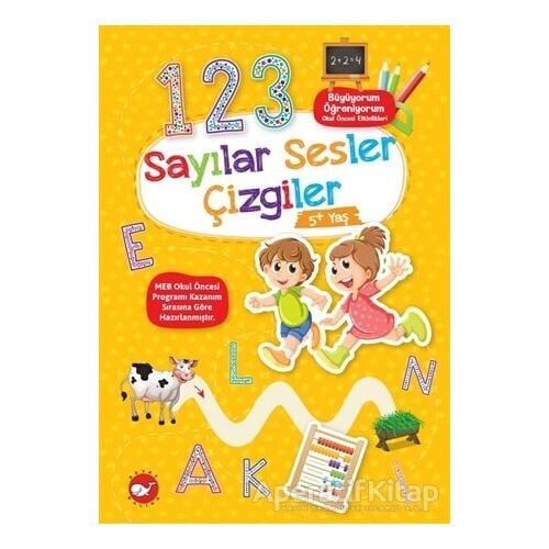 Büyüyorum Serisi - Sayılar Sesler Çizgiler
