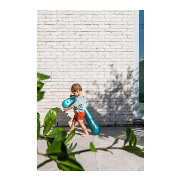 Quut Noddle Friends Yüzme Arkadaşı - Dino