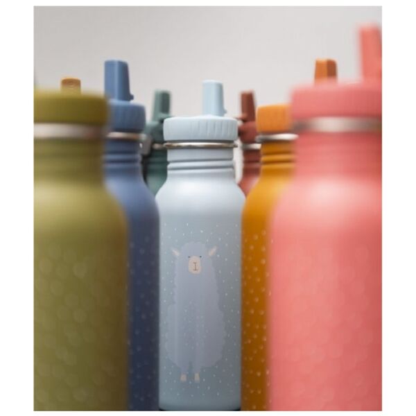 Trixie - Mr. Dino 500 ml Su Şişesi