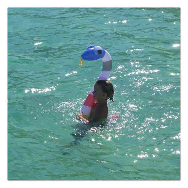 Sunny Life 2li Su Oyuncağı - Into The Wild