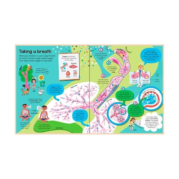 Big Book Of The Body