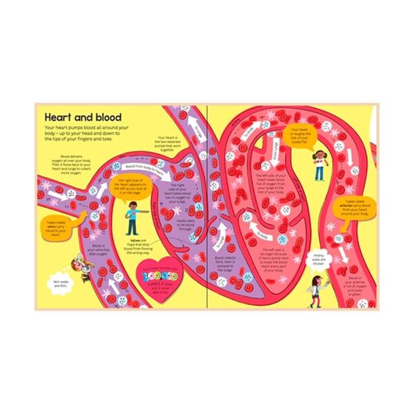 Big Book Of The Body