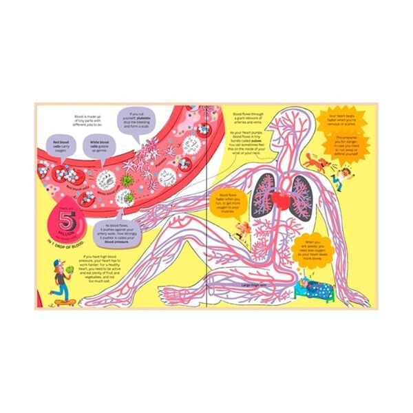 Big Book Of The Body