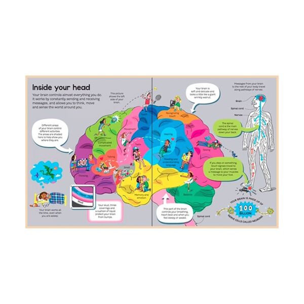 Big Book Of The Body