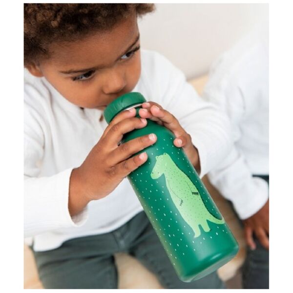 Trixie - Mr. Crocodile 500 ml Su Şişesi