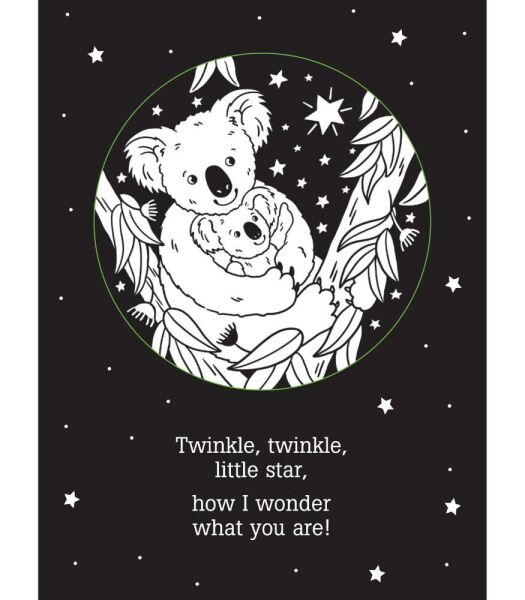 Twinkle Twinkle Little Star Shadow Book