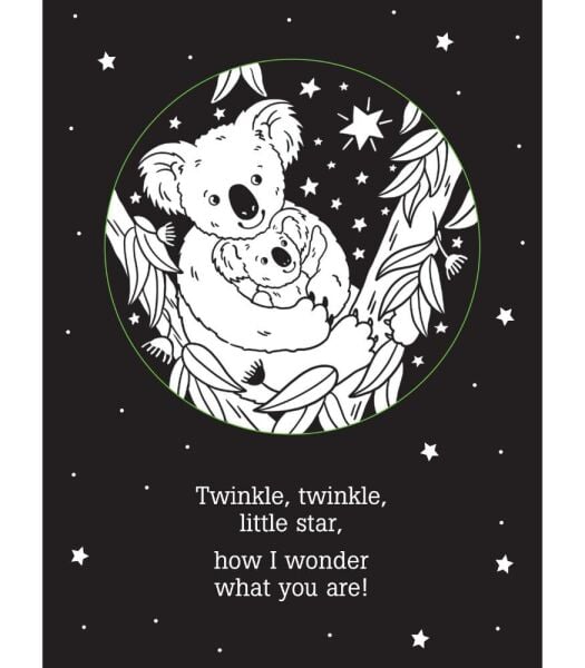 Twinkle Twinkle Little Star Shadow Book