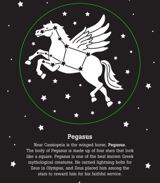 The Night Sky Bed Time Shadow Book