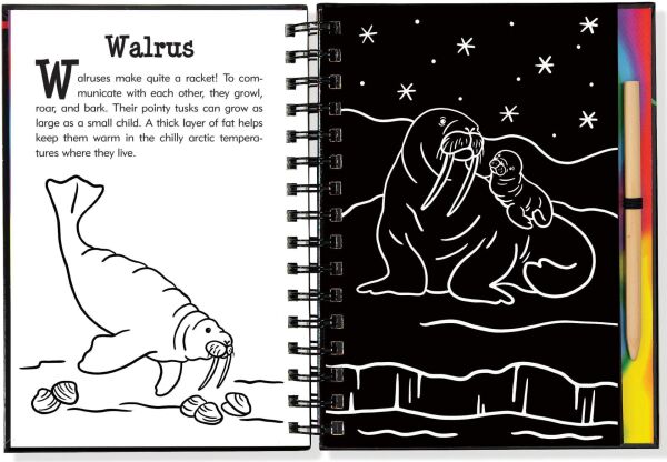 Scratch and Sketch - Under The Sea