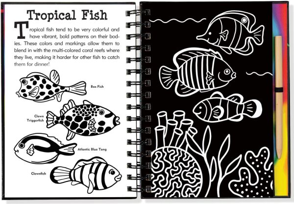 Scratch and Sketch - Under The Sea