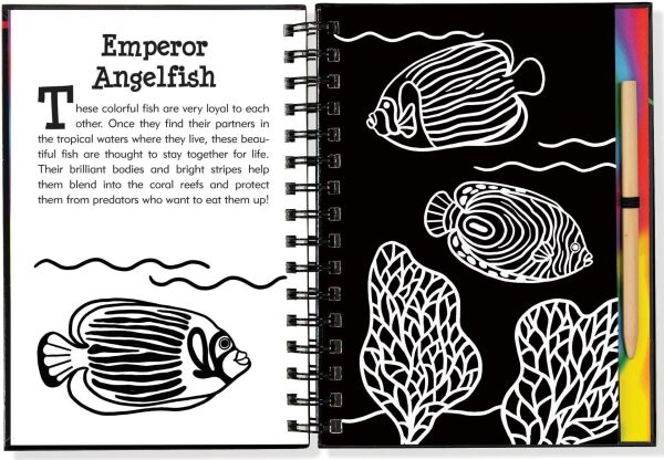 Scratch and Sketch - Under The Sea