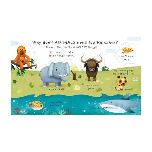 Why Should I Brush My Teeth?