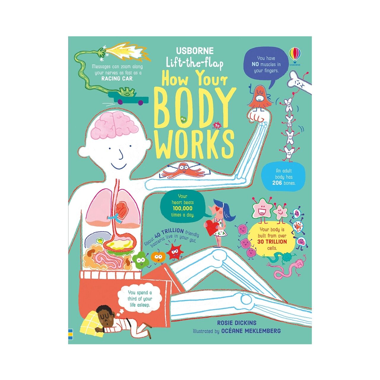 LTF How Your Body Works