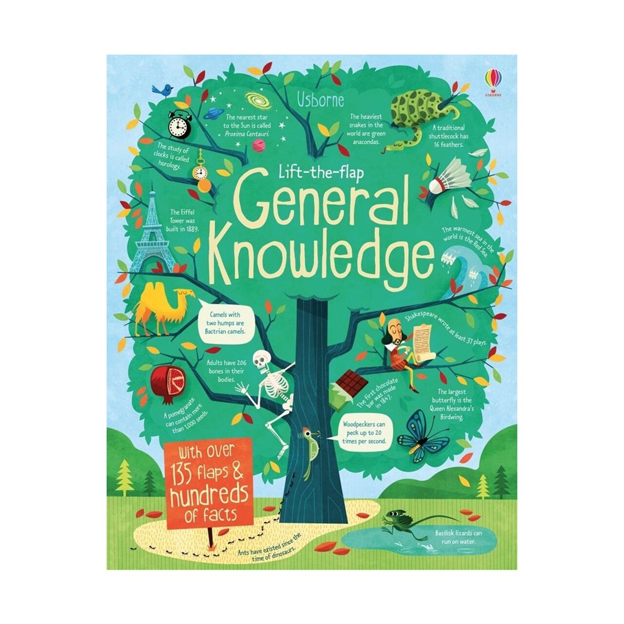 Lift The Flap General Knowledge