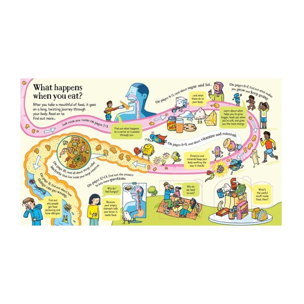 Look Inside What Happens When You Eat