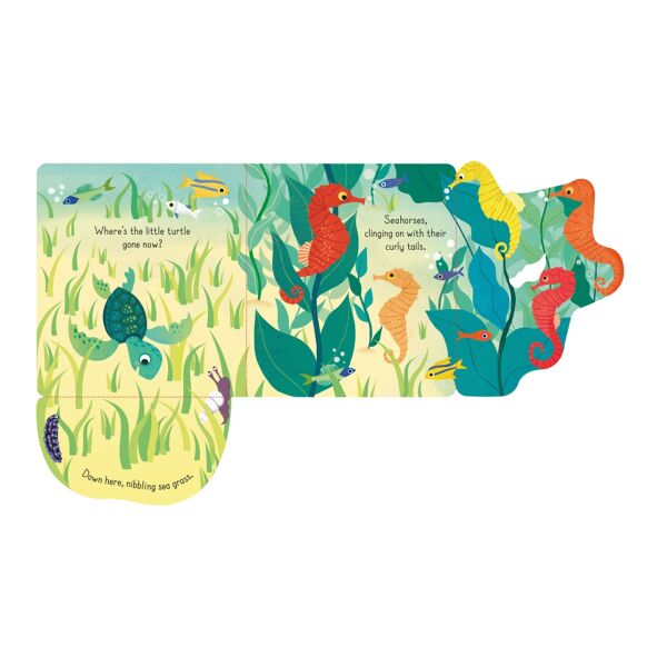 Little Lift and Look Under The Sea