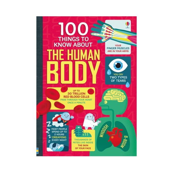 Beg Boxset 100 Things To Know