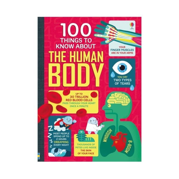 Beg Boxset 100 Things To Know