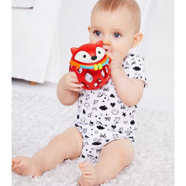 Aktivite Topu - Tilki