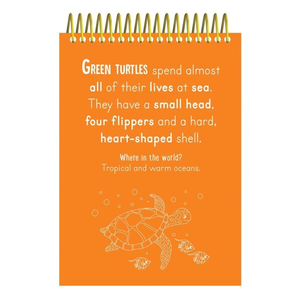 Scratch And Colour - Animals