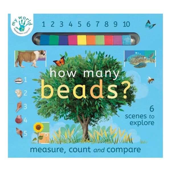 How Many Beads? - Measure, count and compare