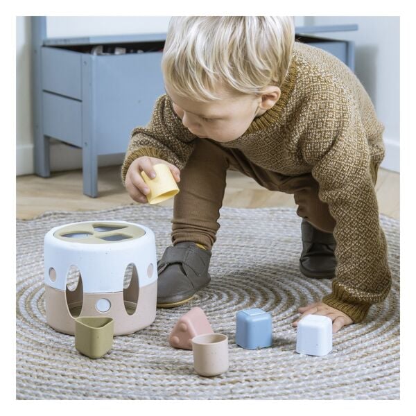 Dantoy Tiny Bio Şekil Sıralayıcı