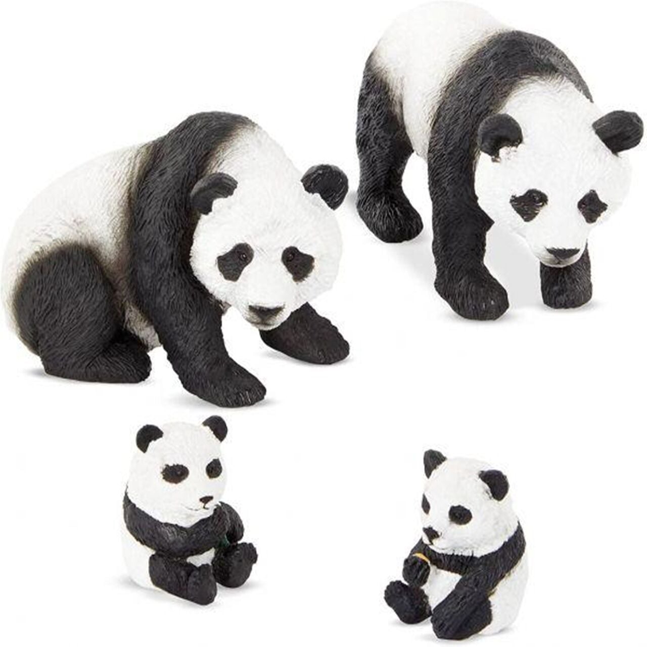 Terra Panda Ailesi