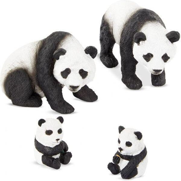 Terra Panda Ailesi