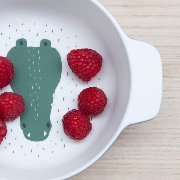 Trıxie Bambu Kase - MR. Crocodile