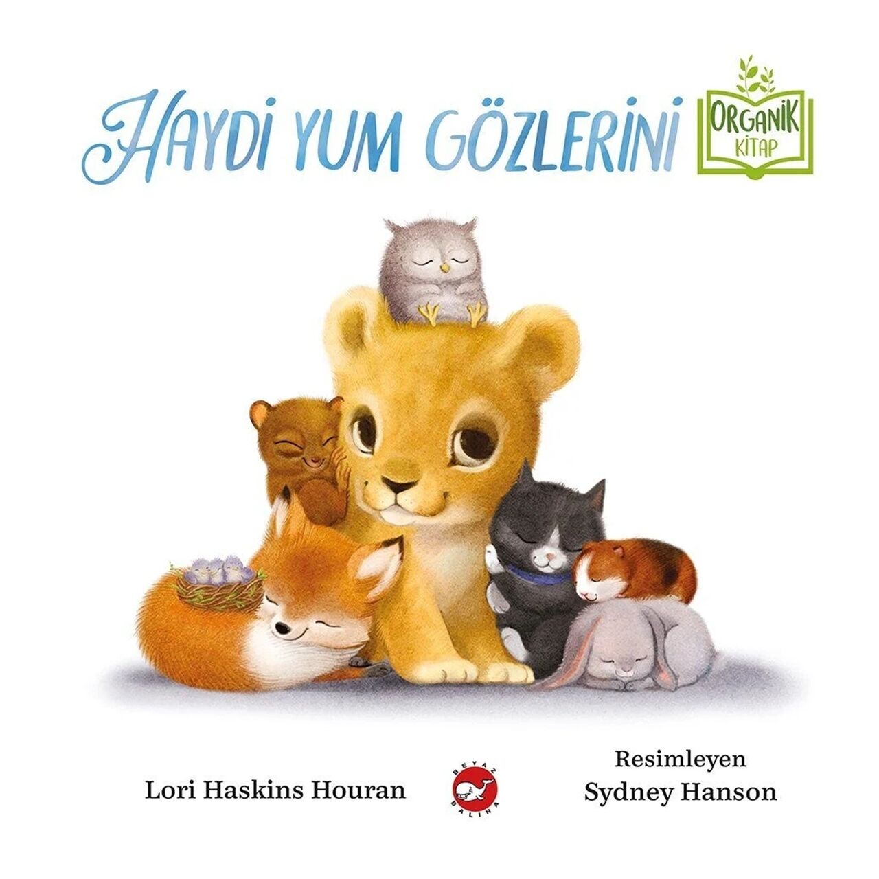 Haydi Yum Gözlerini