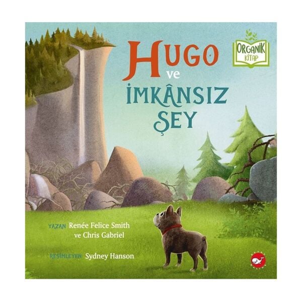 Hugo ve İmkansız Şey
