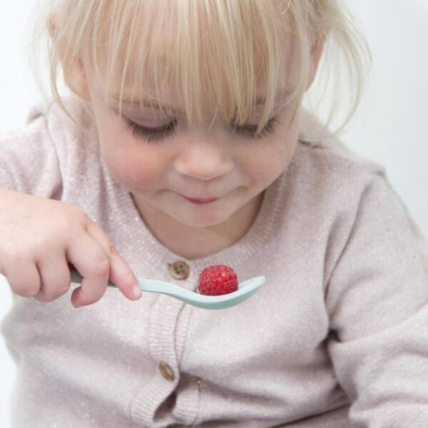 Trıxie Bambu Kaşık 2li - Mr. Lion