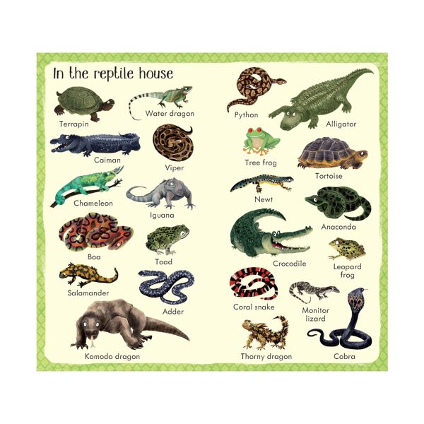 199 Zoo Animals