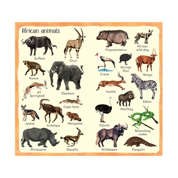 199 Zoo Animals