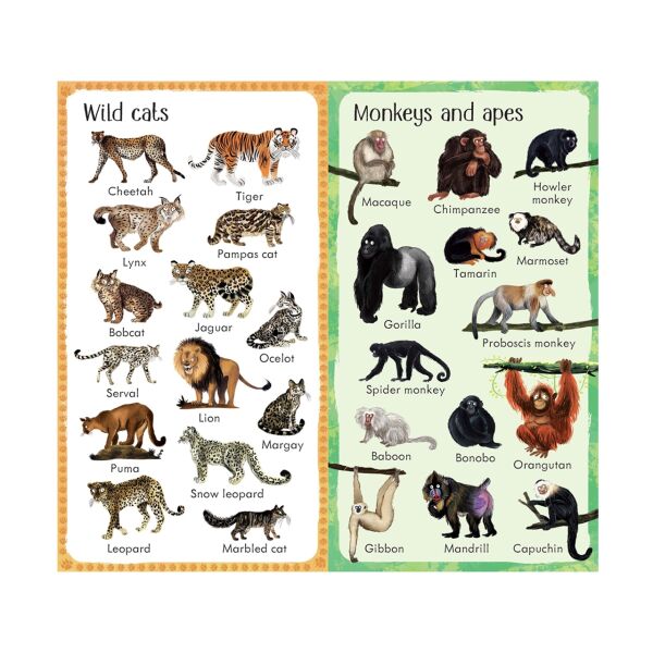 199 Zoo Animals