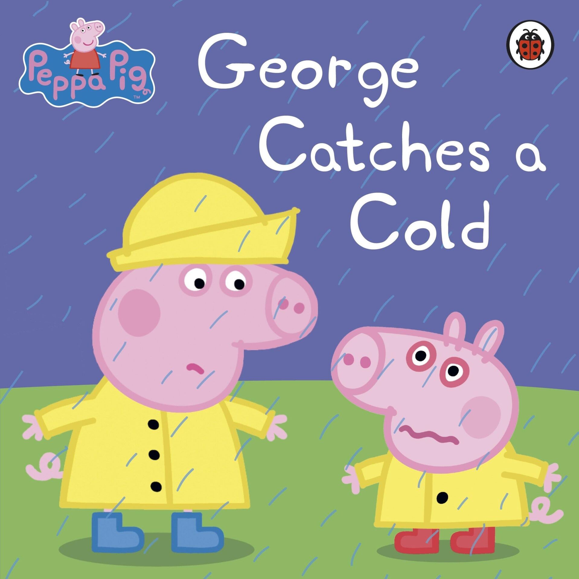Peppa Big: George Catches A Cold