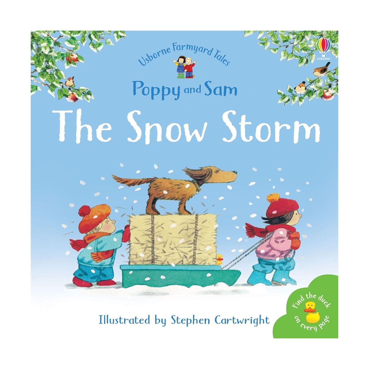 FYT The Snow Storm
