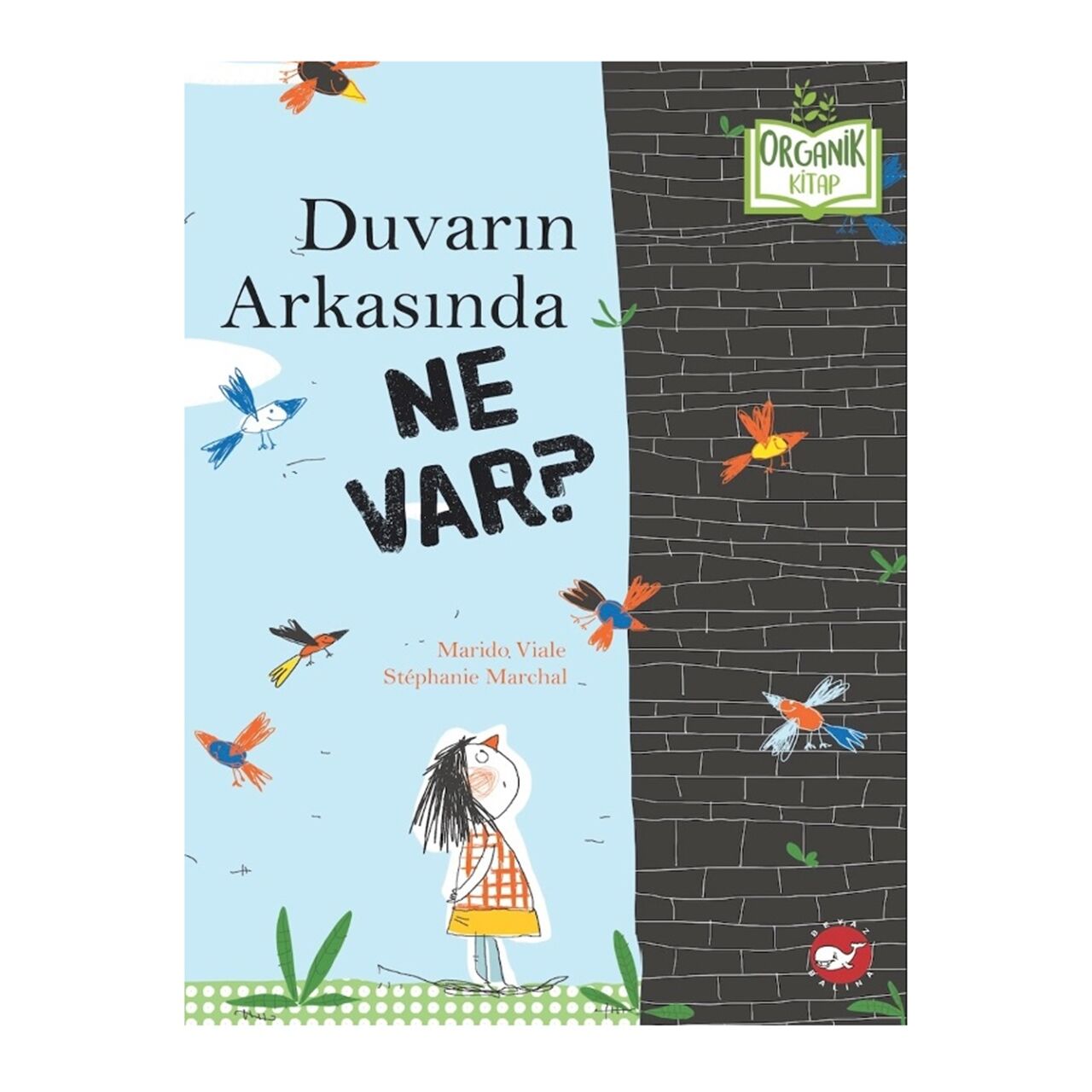 Duvarın Arkasında Ne Var