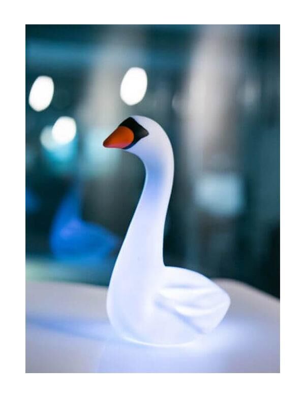 Dhink Kuğu Gece Lambası