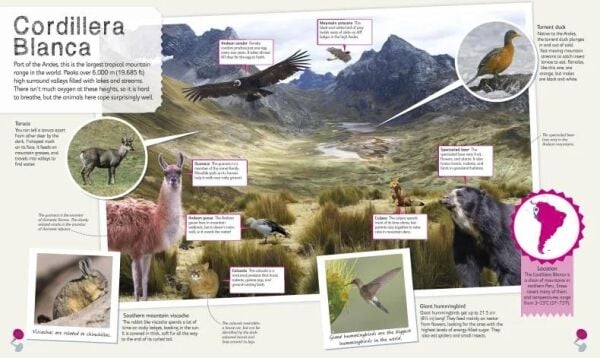 DK-Childrens illustrated Animal Atlas
