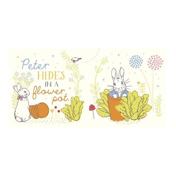 Peter Rabbit :  Hello Peter!