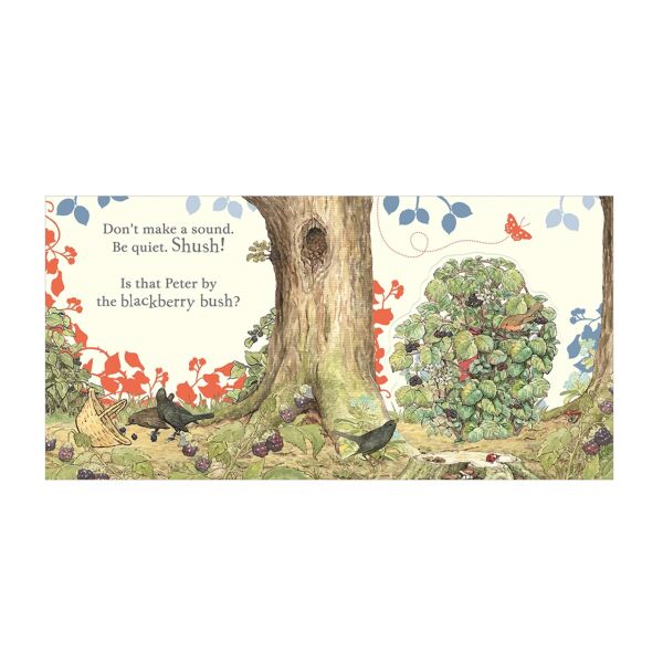 Where Is Peter Rabbit?