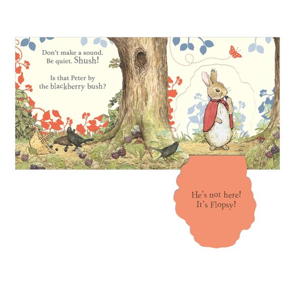 Where Is Peter Rabbit?