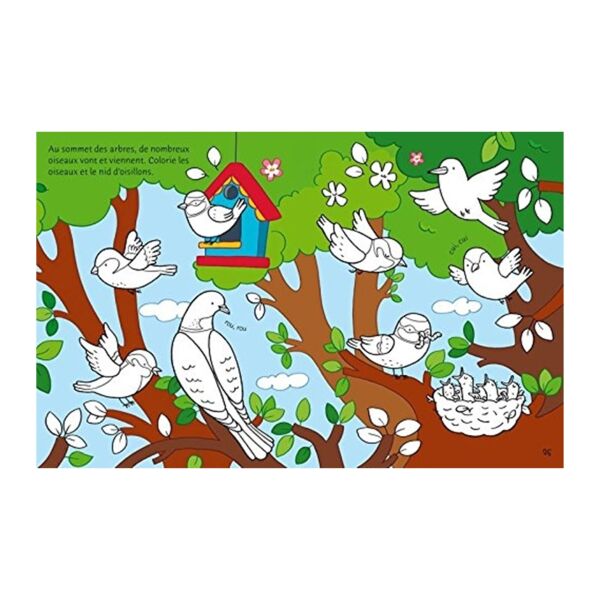 Garden Sticker&Colouring Book